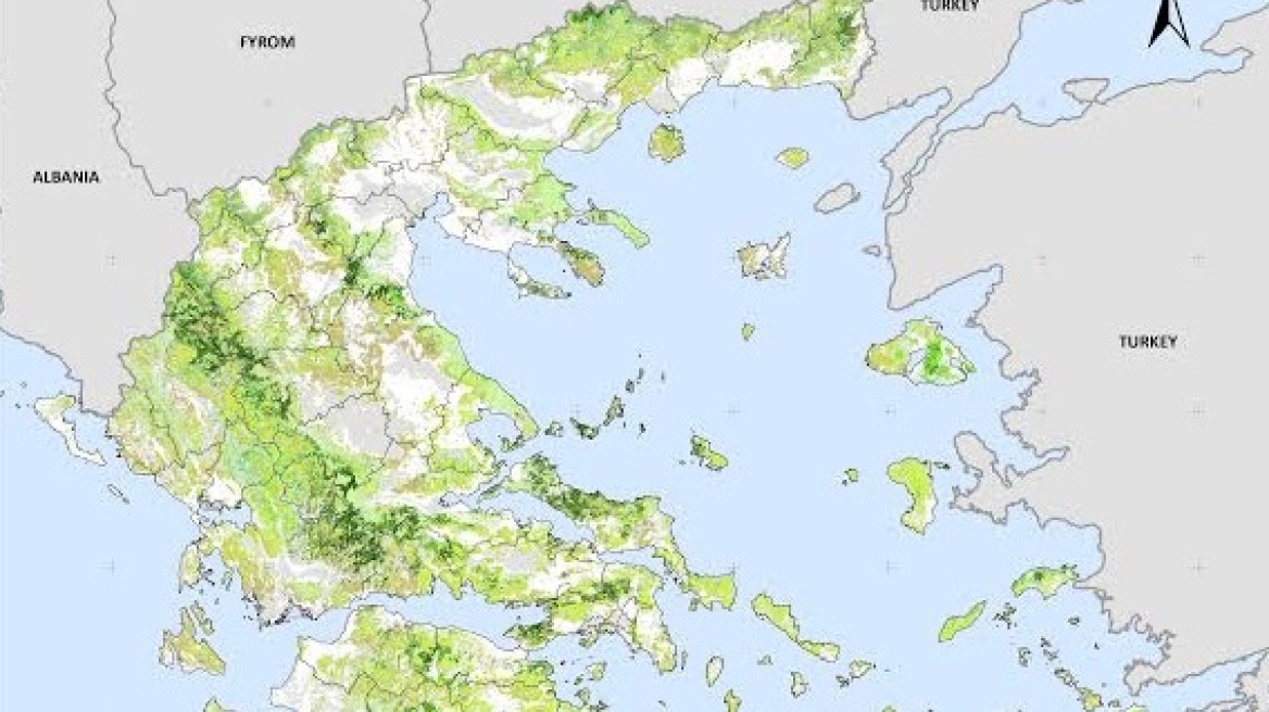 Εθνικό κτηματολόγιο δασικής καύσιμης ύλης αποκτά η Ελλάδα